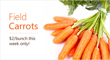 Field Carrots $2 a bunch this week only