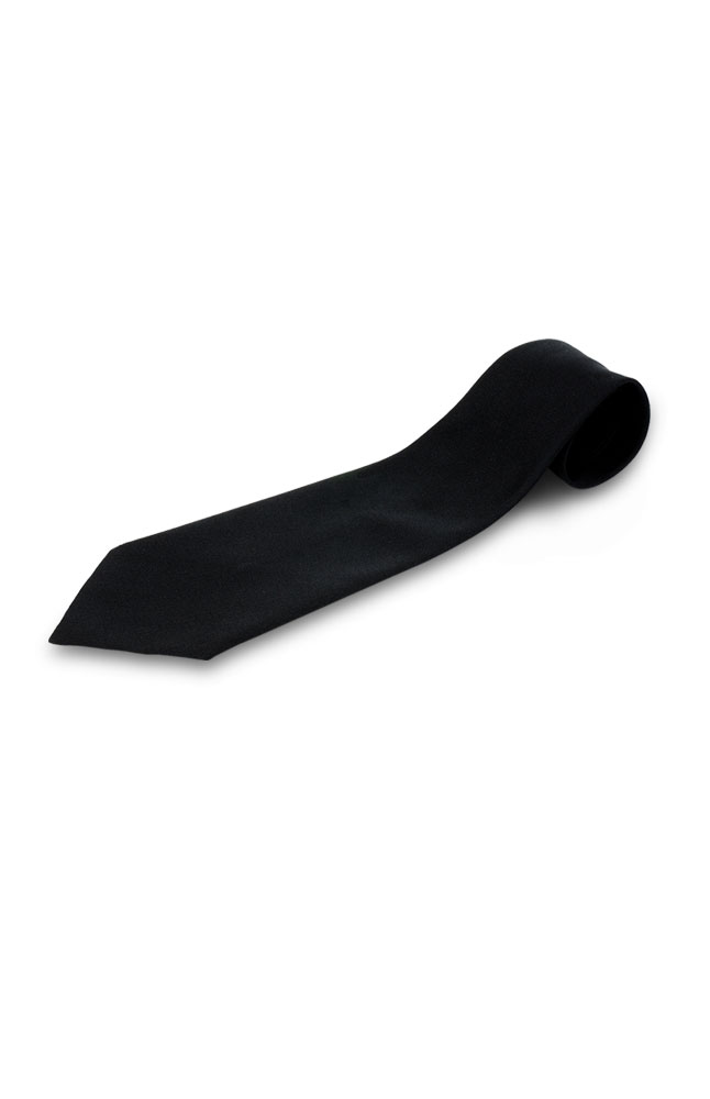 Image for Borsati Night Fury Tie from AuroraESite