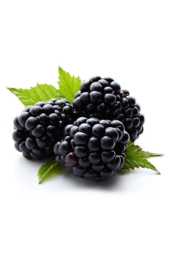 Image for Blackberries from AuroraESite