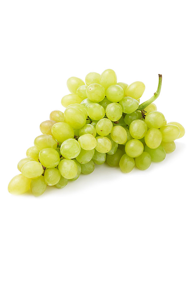 Image for Seedless Grapes from AuroraESite