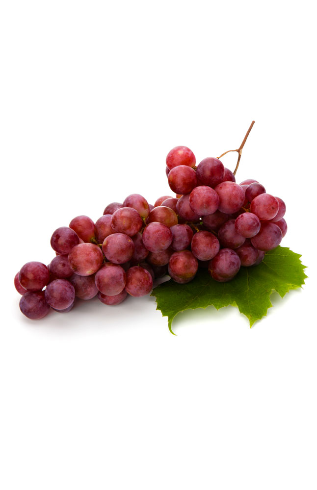 Image for Concord Grapes from AuroraESite
