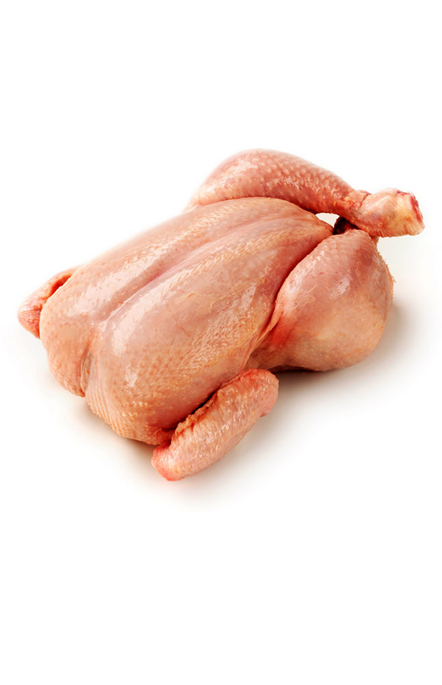 Image for Air Chilled Whole Chicken from AuroraESite