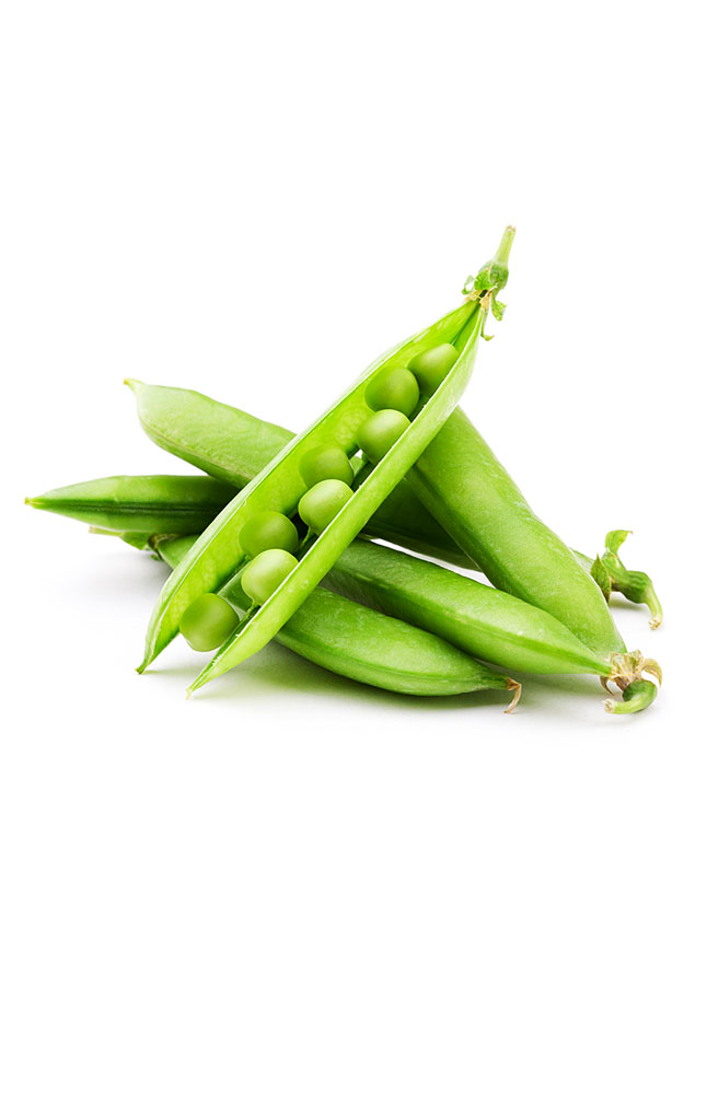 Image for Snow Peas from AuroraESite