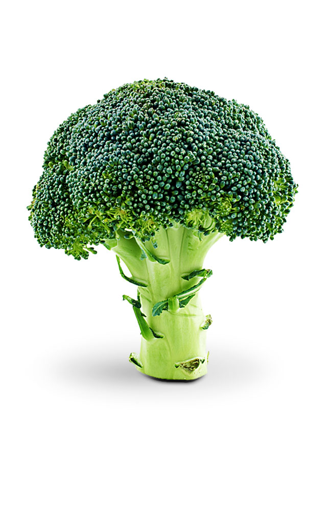 Image for Broccoli from AuroraESite