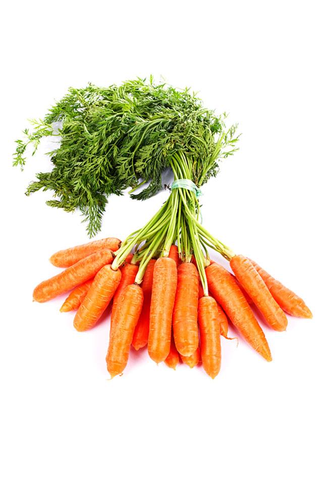 Image for Carrots from AuroraESite
