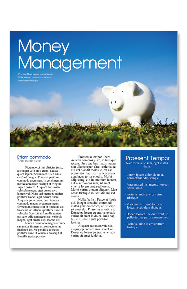 Image for Money Management from AuroraESite